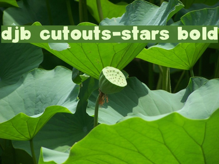 DJB Cutouts-Stars Bold Example 2
