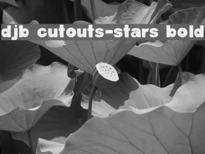 DJB Cutouts-Stars Bold Font examples