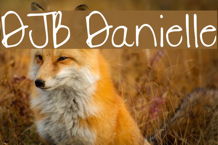 DJB Danielle Font examples