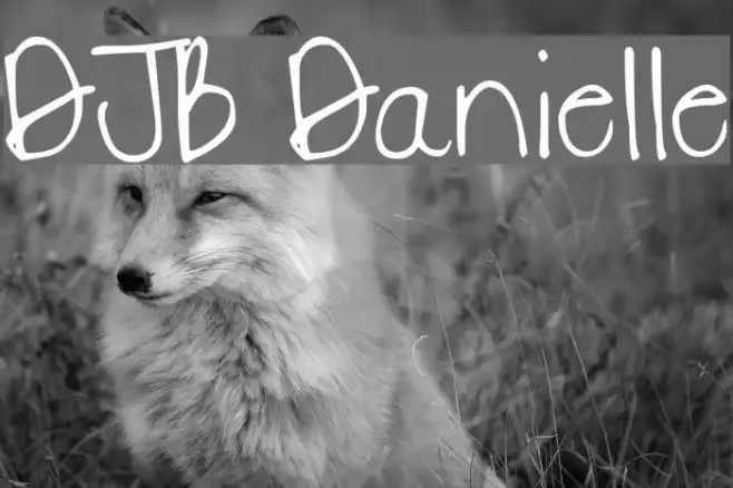 DJB Danielle Example 2