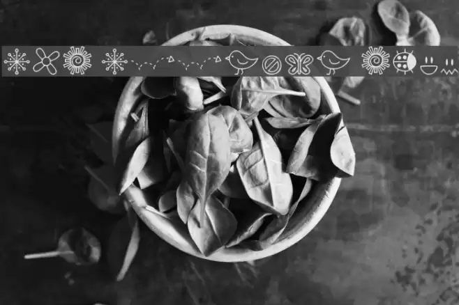 DJB Doodled Bits Font examples