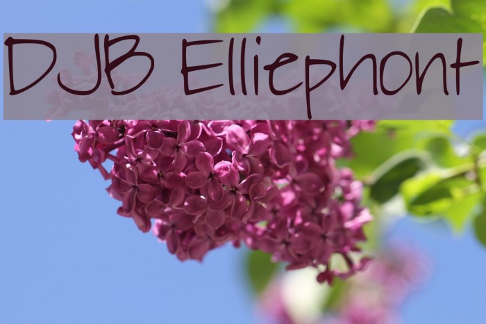 DJB Elliephont Example 1