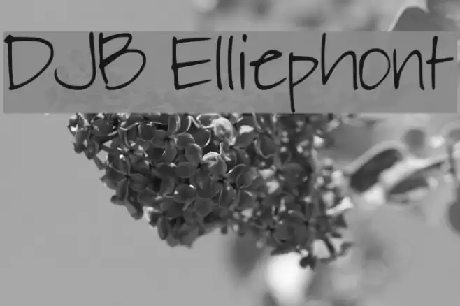 DJB Elliephont Font examples