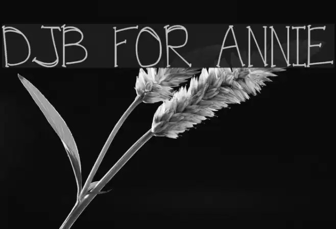 DJB FOR ANNIE Font examples