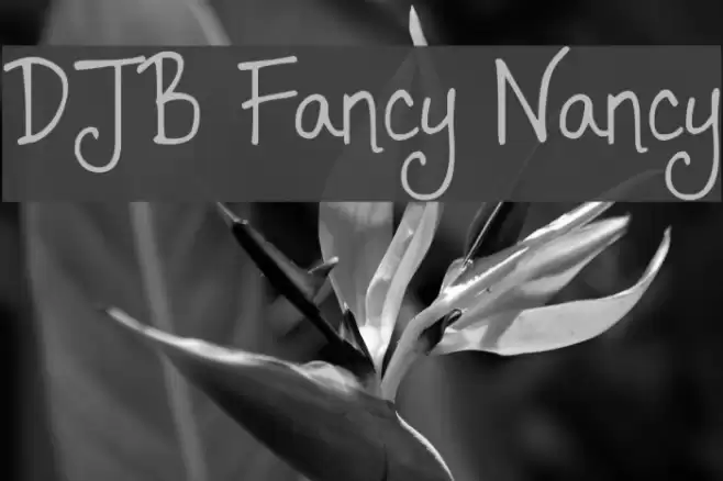 DJB Fancy Nancy Font examples