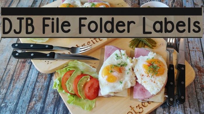 DJB File Folder Labels Schriftart examples