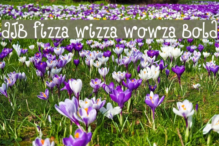 DJB Fizza Wizza Wowza Bold フォント examples