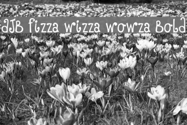 DJB Fizza Wizza Wowza Bold Font examples