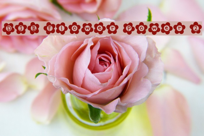 DJB Flower Power 2 Font examples