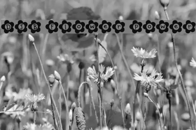 DJB Flower Power Font examples