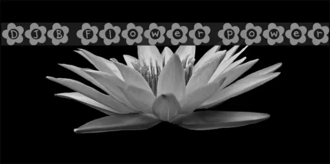 DJB Flower Power Font examples