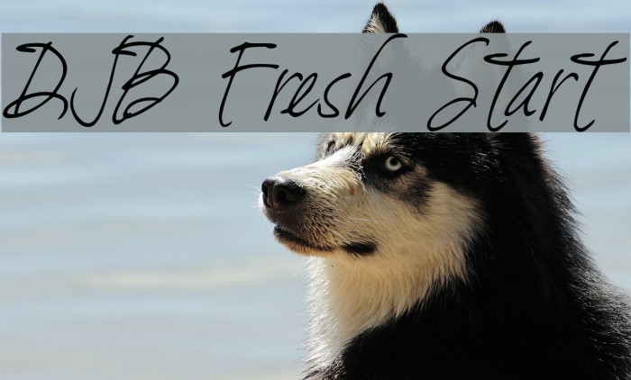 DJB Fresh Start Font examples