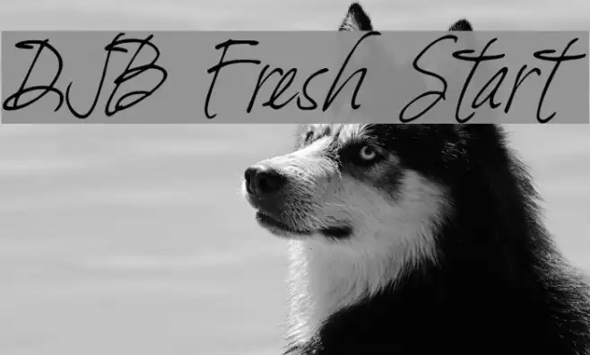 DJB Fresh Start Example 2