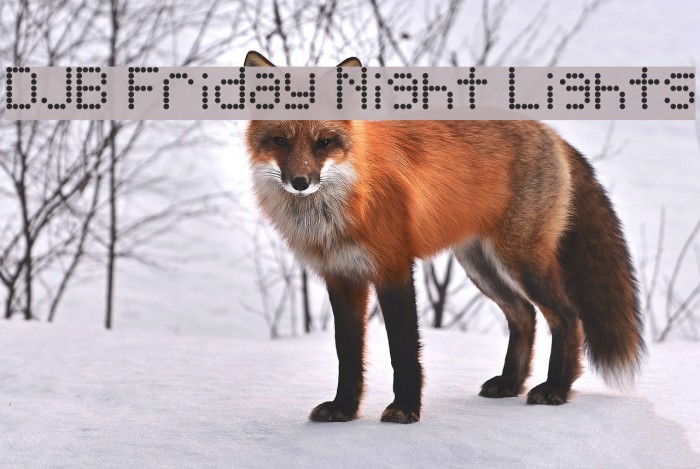 DJB Friday Night Lights Font examples