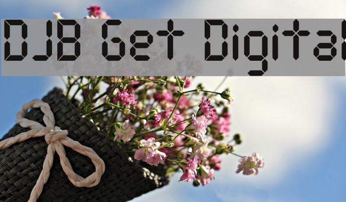 DJB Get Digital Font examples