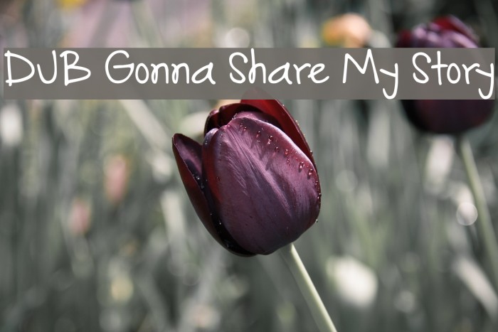 DJB Gonna Share My Story Font examples
