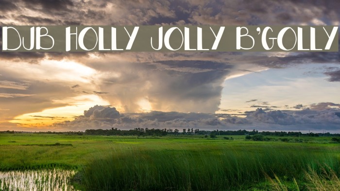 DJB HOLLY JOLLY B'GOLLY Font examples
