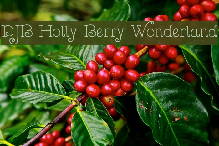 DJB Holly Berry Wonderland Example 3