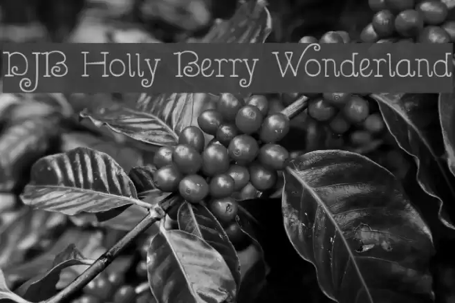 DJB Holly Berry Wonderland Font examples