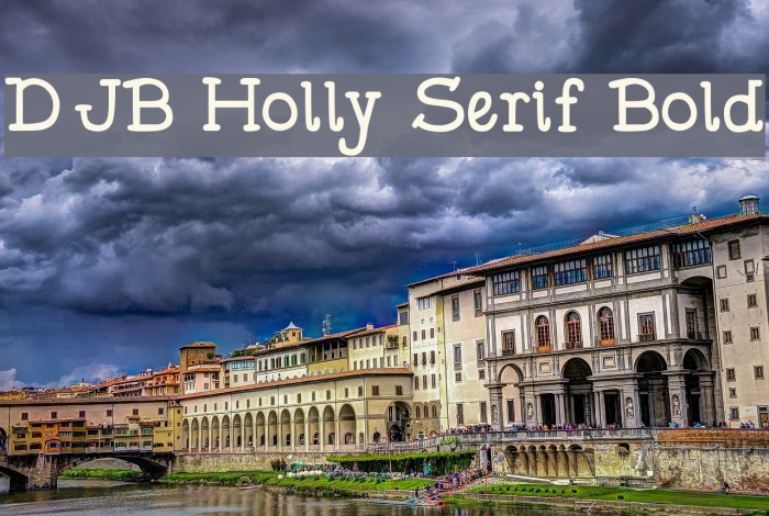 DJB Holly Serif Bold Font examples