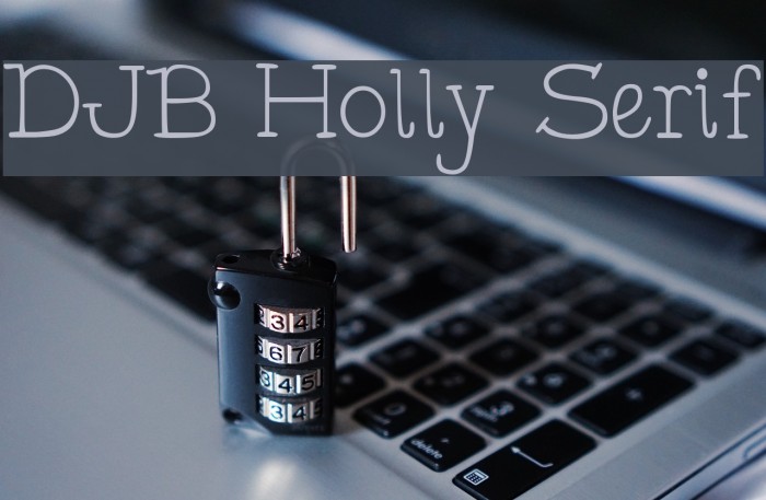 DJB Holly Serif Font examples