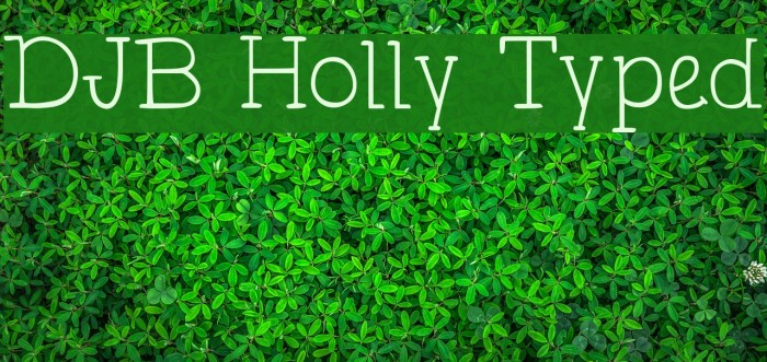 DJB Holly Typed Font examples
