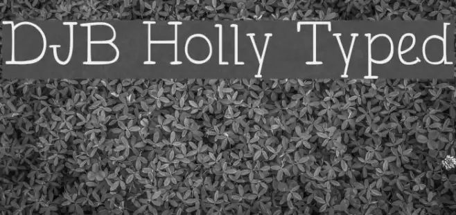 DJB Holly Typed Font examples