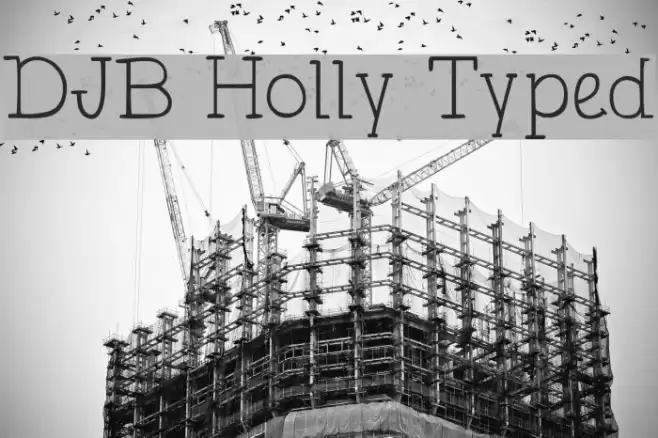 DJB Holly Typed Font examples
