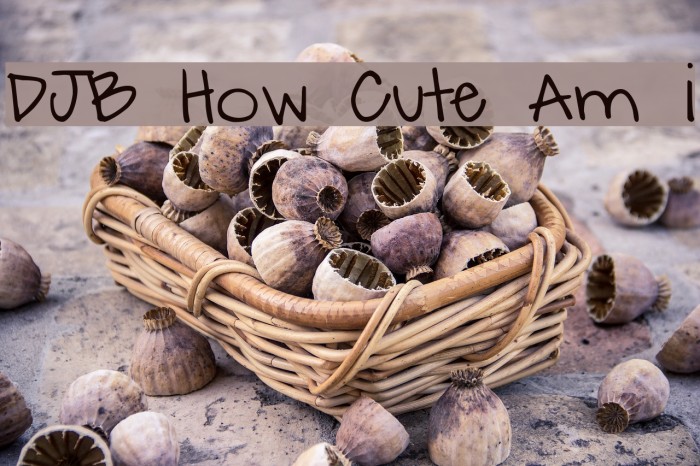 DJB How Cute Am I Example 1