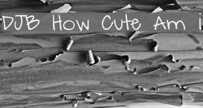DJB How Cute Am I Font examples
