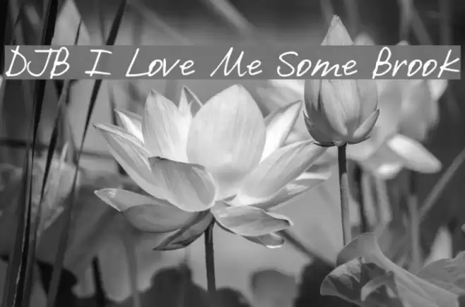 DJB I Love Me Some Brook Font examples