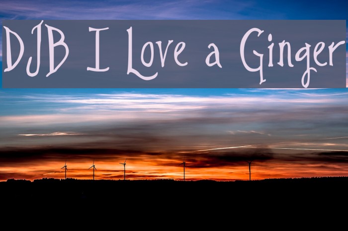 DJB I Love a Ginger Example 1