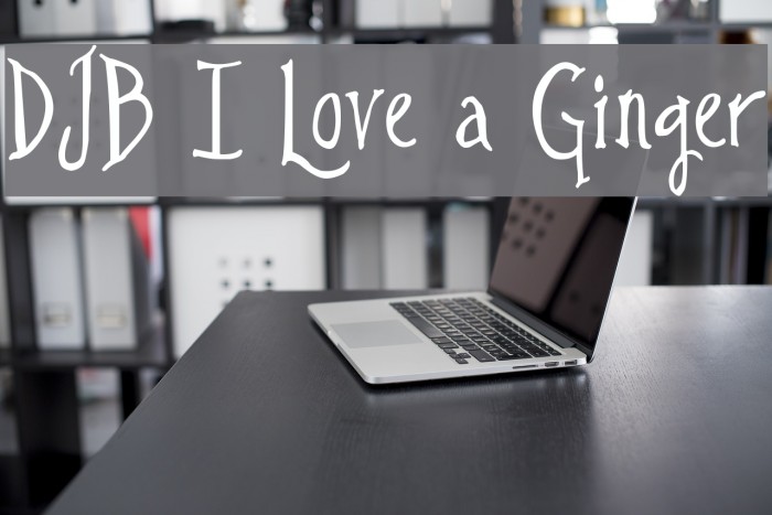 DJB I Love a Ginger Example 2