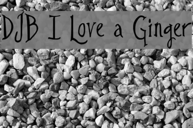 DJB I Love a Ginger Font examples