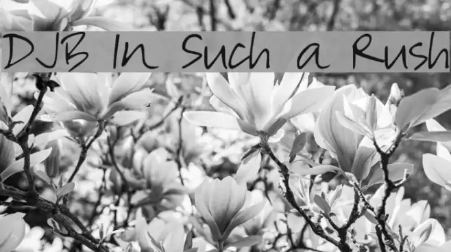 DJB In Such a Rush Font examples