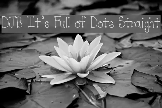DJB It's Full of Dots Straight Font examples
