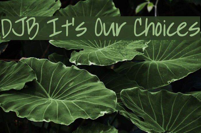 DJB It's Our Choices Font examples