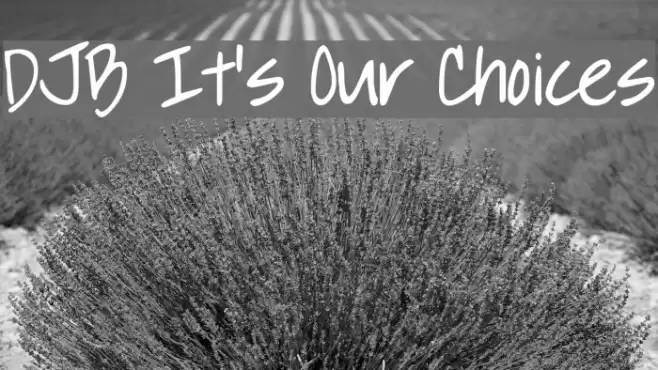 DJB It's Our Choices Font examples