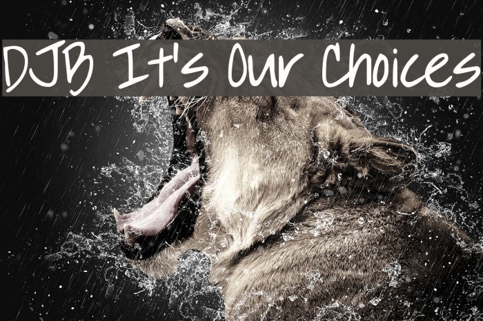 DJB It's Our Choices Font examples
