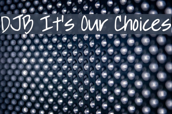 DJB It's Our Choices Font examples