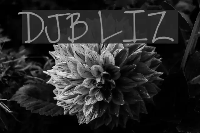 DJB LIZ Font examples