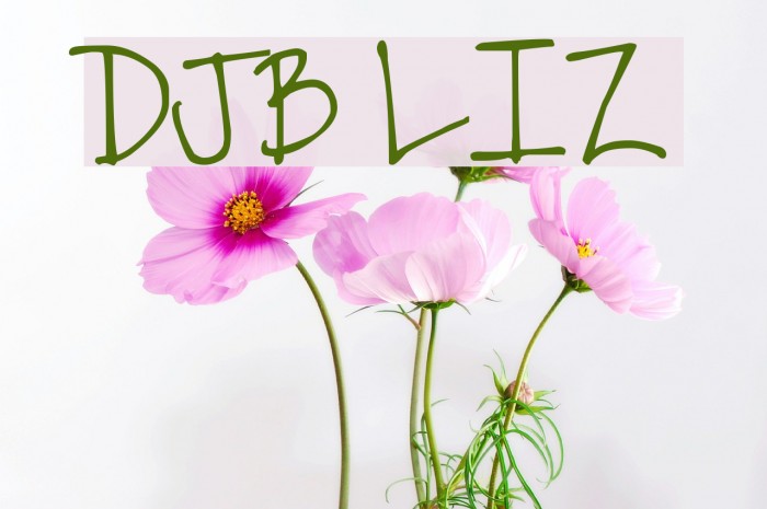 DJB LIZ Font examples