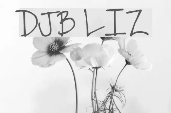 DJB LIZ Font examples