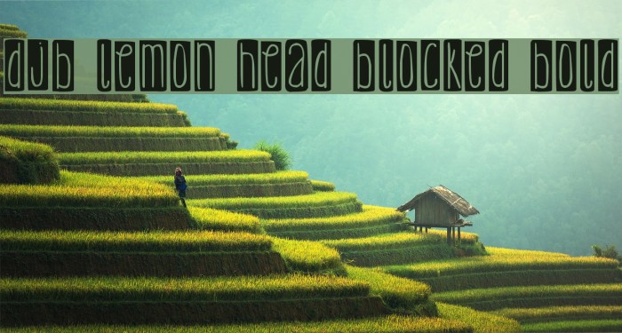 DJB Lemon Head Blocked Bold Example 1