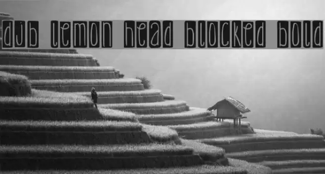DJB Lemon Head Blocked Bold Font examples