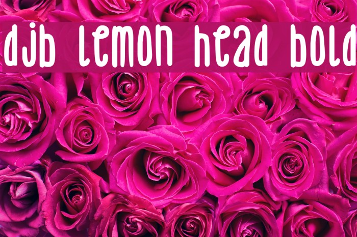 DJB Lemon Head Bold Font examples