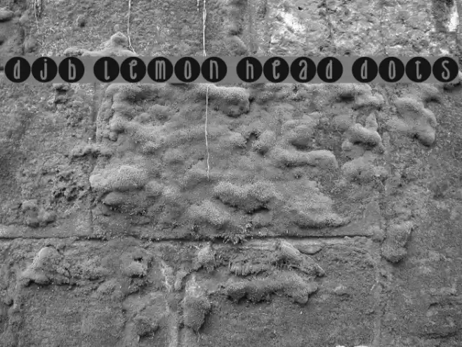 DJB Lemon Head Dots Font examples