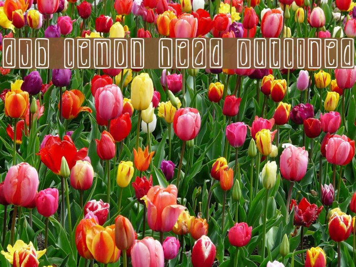 DJB Lemon Head Outlined Example 2