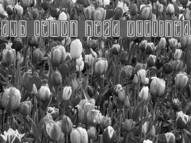 DJB Lemon Head Outlined Font examples