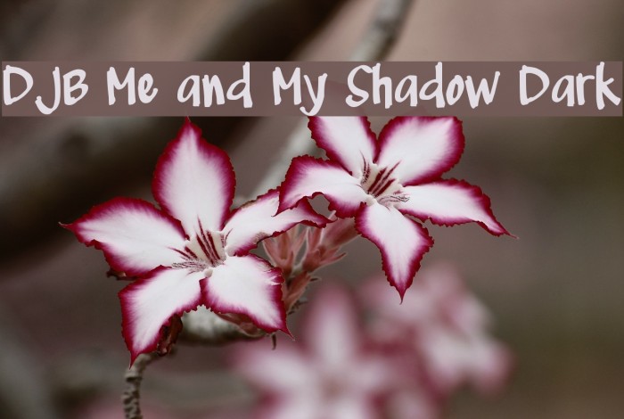 DJB Me and My Shadow Dark Font examples